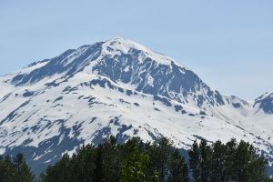 Alaska Wildlife Conservation Center, Seward Highway, Anchorage, Alaska, United States